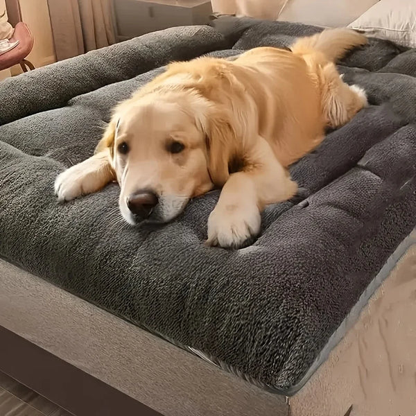 Lits et couchage