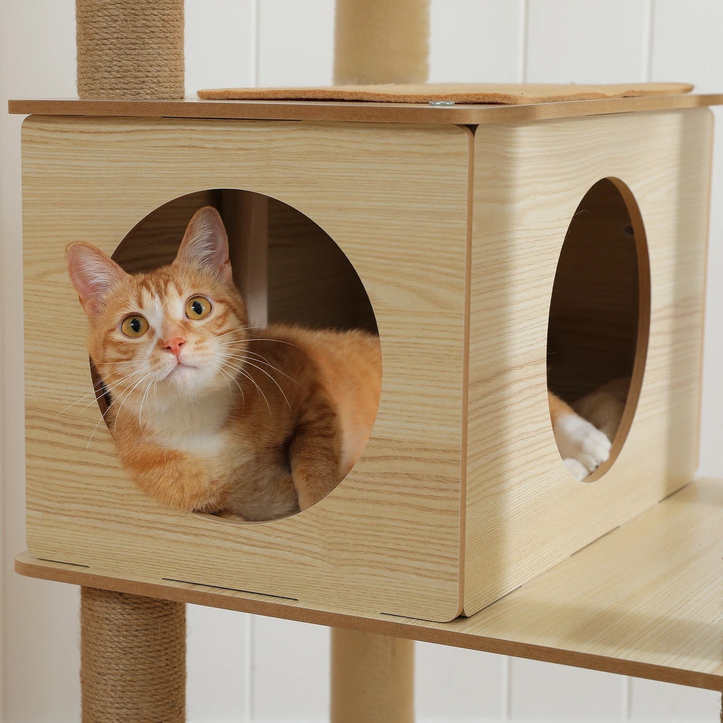 Arbre à Chat en Bois XXL Design - Griffoir, cabane, lit, hamac