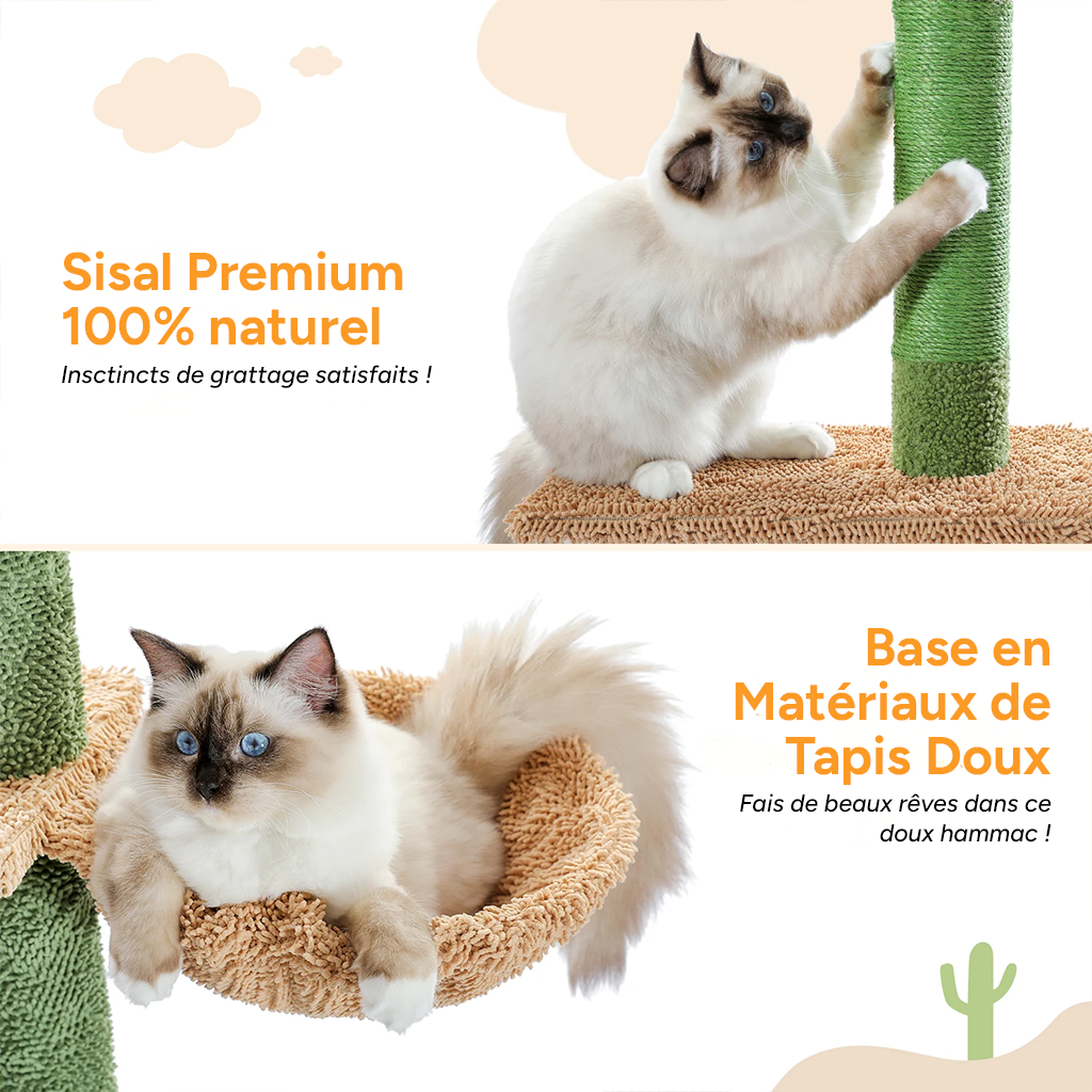 Arbre à chat XL Cactus 230cm Sol au plafond - 5 niveaux, avec griffoir, hamac, boule suspendue