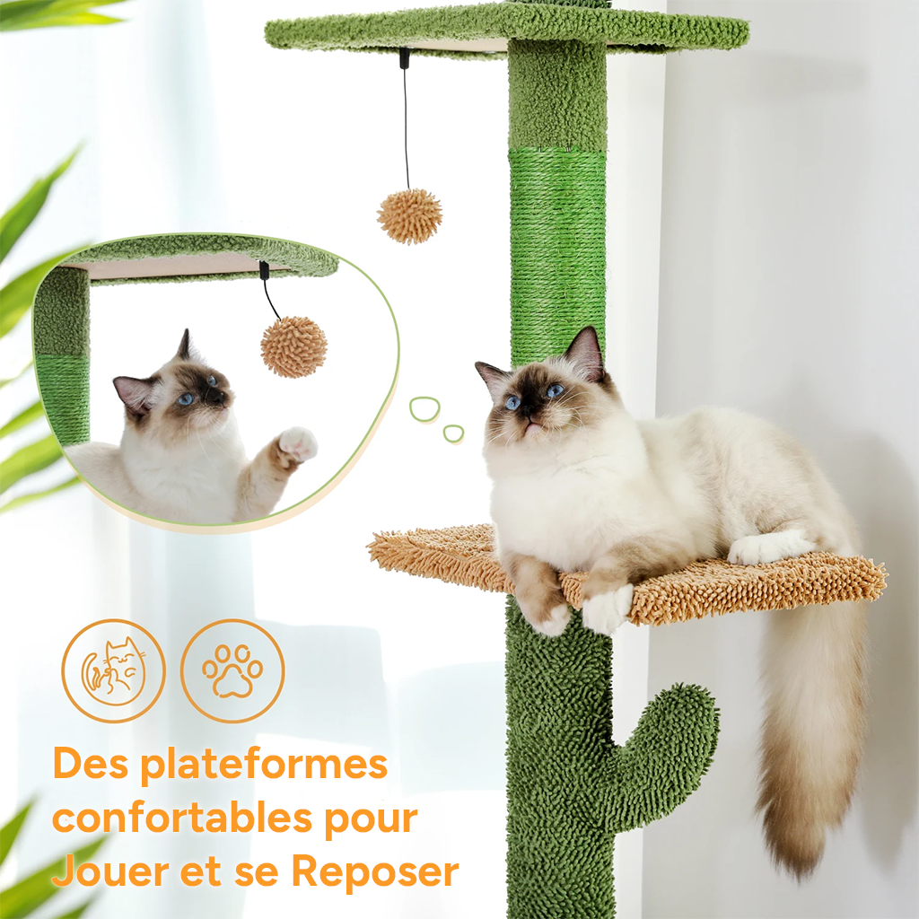 Arbre à chat XL Cactus 230cm Sol au plafond - 5 niveaux, avec griffoir, hamac, boule suspendue