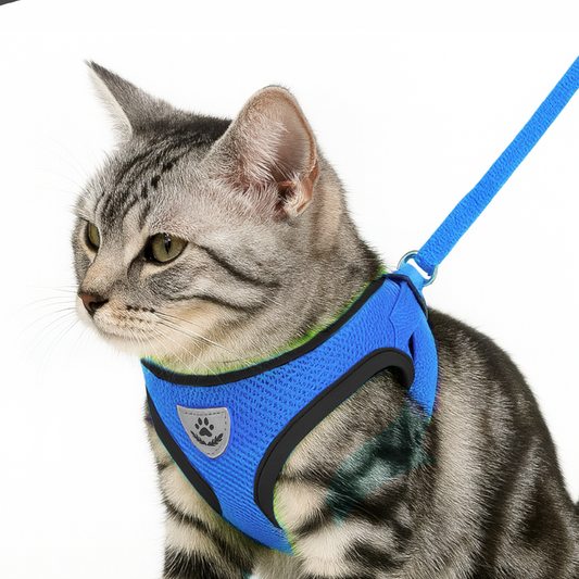 Harnais pour chat / chiots réglable avec laisse