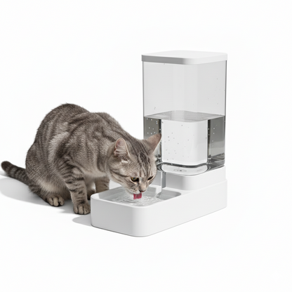 Distributeur d'eau par gravité - Chats et chiens