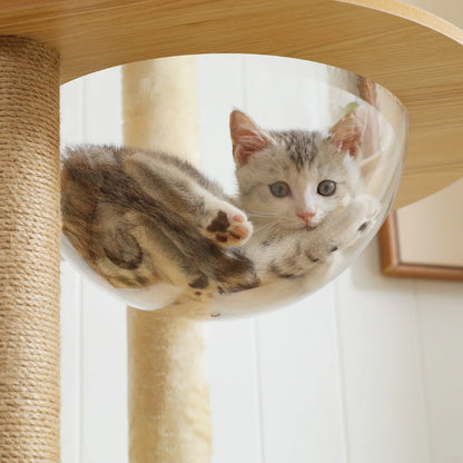 Arbre à Chat en Bois XXL Design - Griffoir, cabane, lit, hamac