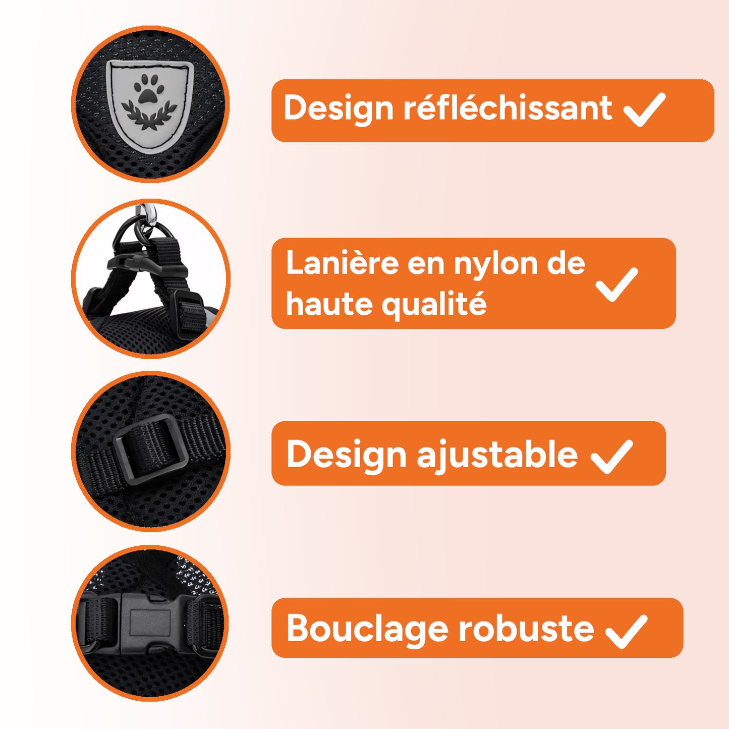 Harnais pour chat / chiots réglable avec laisse