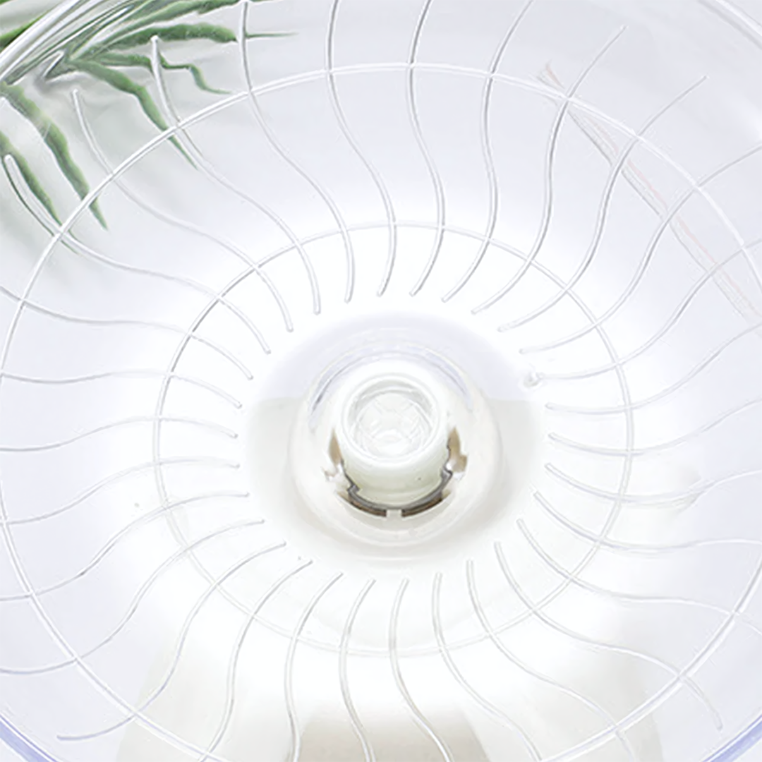 Roue d'exercice silencieuse pour hamsters, souris, hérissons