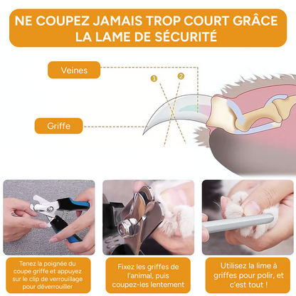 Coupe-griffes professionnel pour chiens avec sécurité - Acier inoxydable