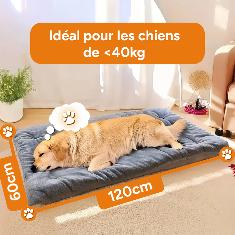 Lit pour chien gris en peluche - Tapis épais extra doux