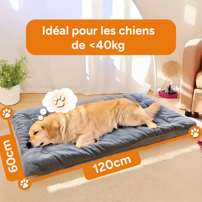 Lit pour chien gris en peluche - Tapis épais extra doux