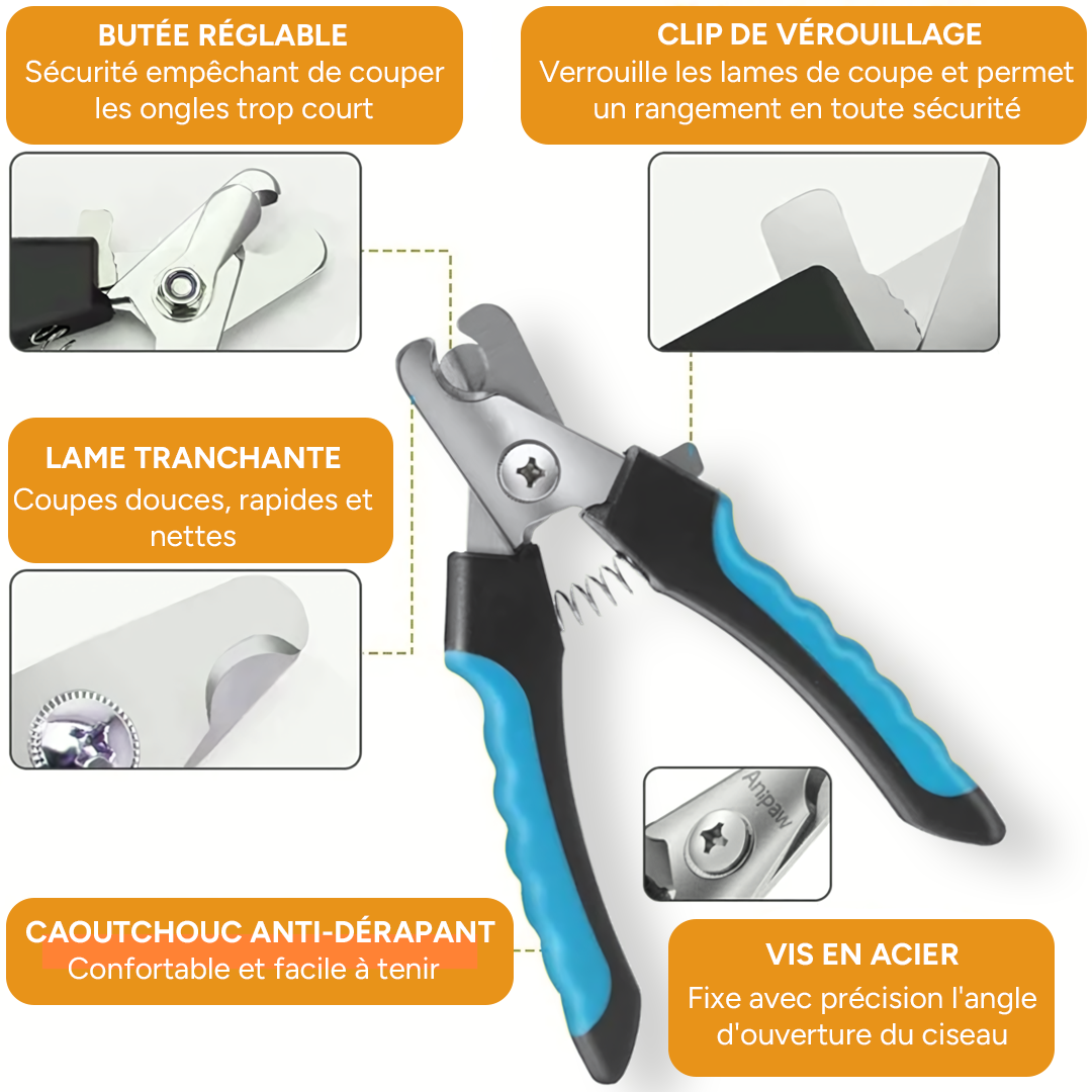 Coupe-griffes professionnel pour chiens avec sécurité - Acier inoxydable