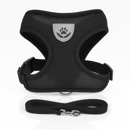 Harnais pour chat / chiots réglable avec laisse