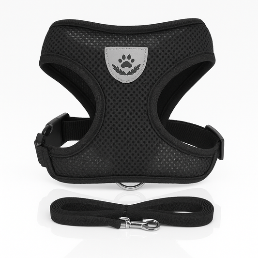 Harnais pour chat / chiots réglable avec laisse