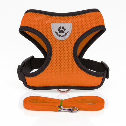 Harnais pour chat / chiots réglable avec laisse