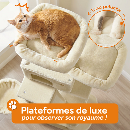 Arbre à chat XXL 2M - Griffoirs, rampe à griffer, perchoirs, cabanes, hamac
