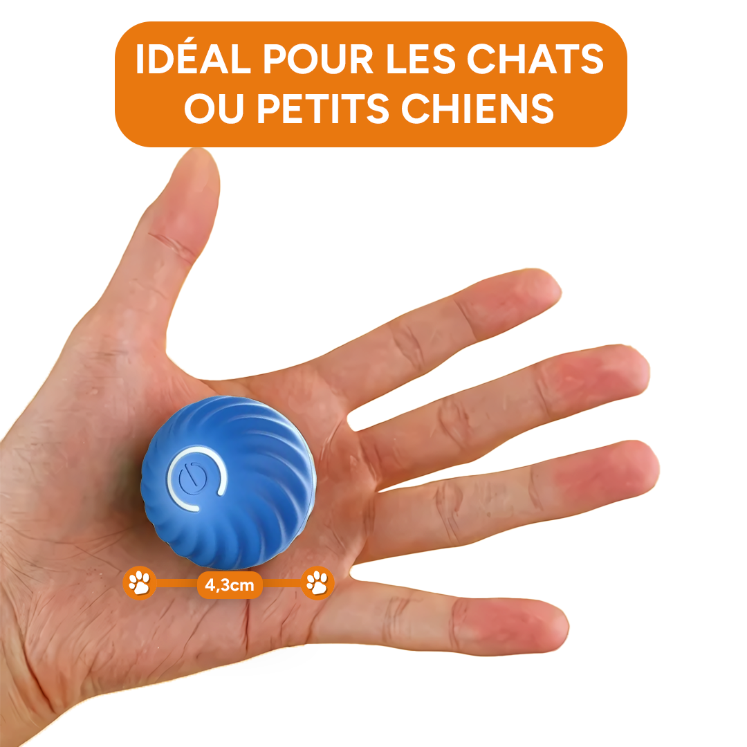 Balle pour chien & chat rebondissante automatique - Rechargement USB
