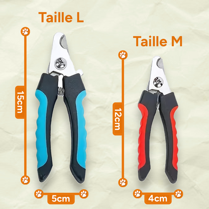 Coupe-griffes professionnel pour chiens avec sécurité - Acier inoxydable